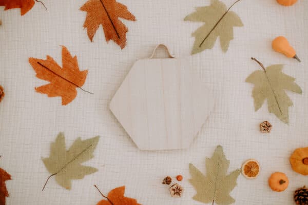 Fall/Autumn Layflat Studio Shoot 5