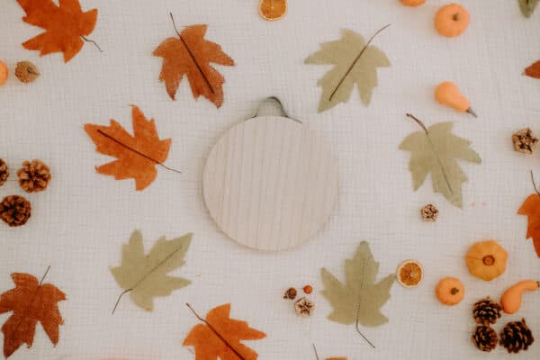 Fall/Autumn Layflat Studio Shoot 6