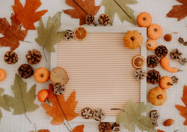Fall/Autumn Layflat Studio Shoot 7