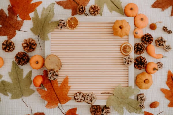 Fall/Autumn Layflat Studio Shoot 8