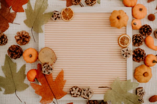 Fall/Autumn Layflat Studio Shoot 9