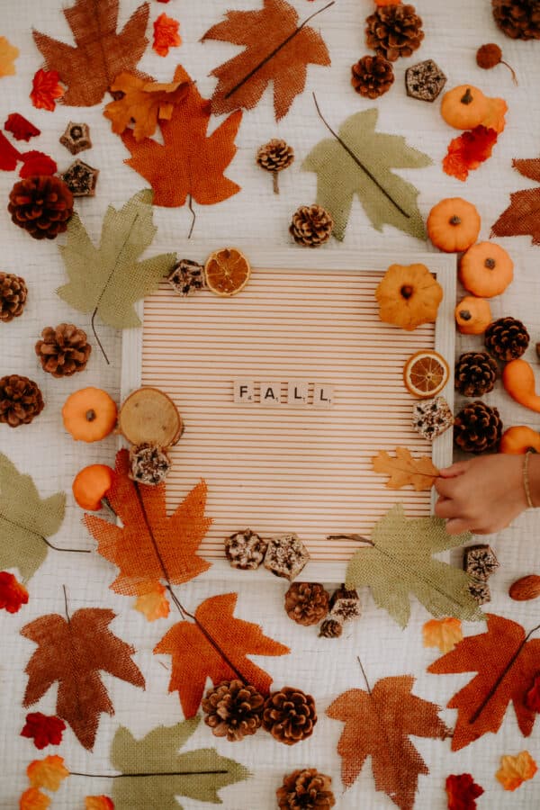Fall/Autumn Layflat Studio Shoot 11