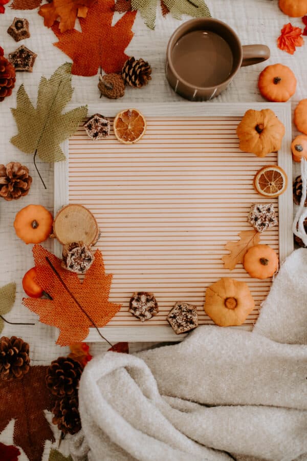 Fall/Autumn Layflat Studio Shoot 17