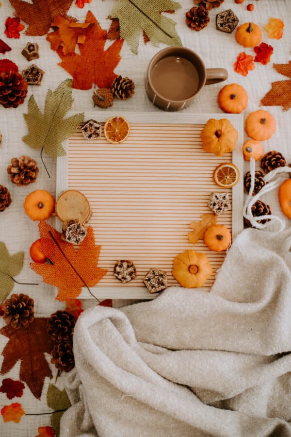 Fall/Autumn Layflat Studio Shoot 18