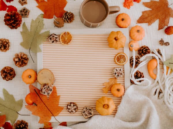 Fall/Autumn Layflat Studio Shoot 19