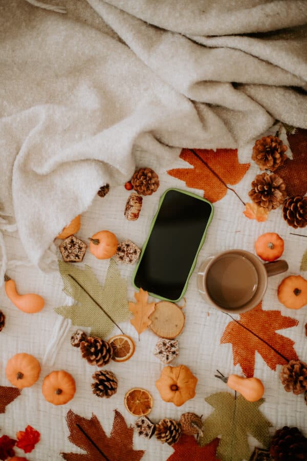 Fall/Autumn Layflat Studio Shoot 29