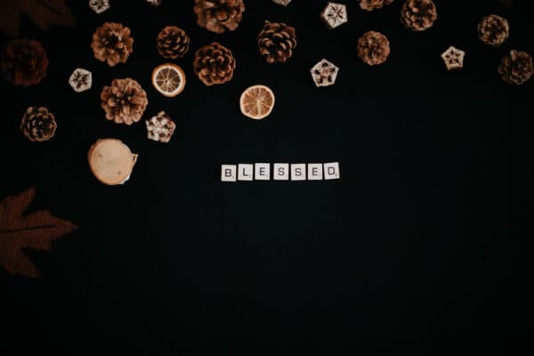 Fall/Autumn Layflat Studio Shoot 40