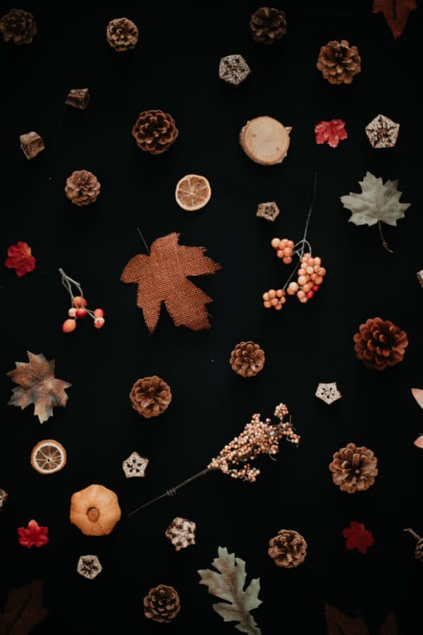 Fall/Autumn Layflat Studio Shoot 45
