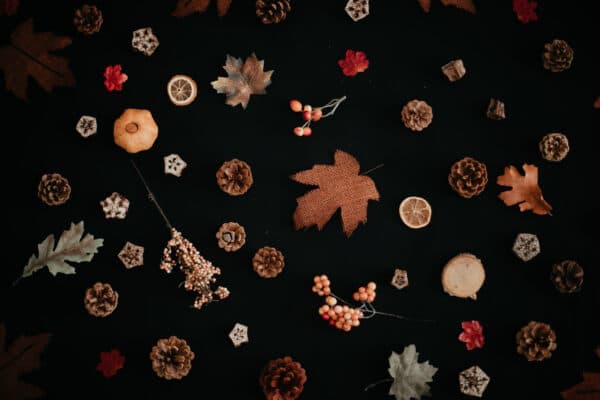 Fall/Autumn Layflat Studio Shoot 46