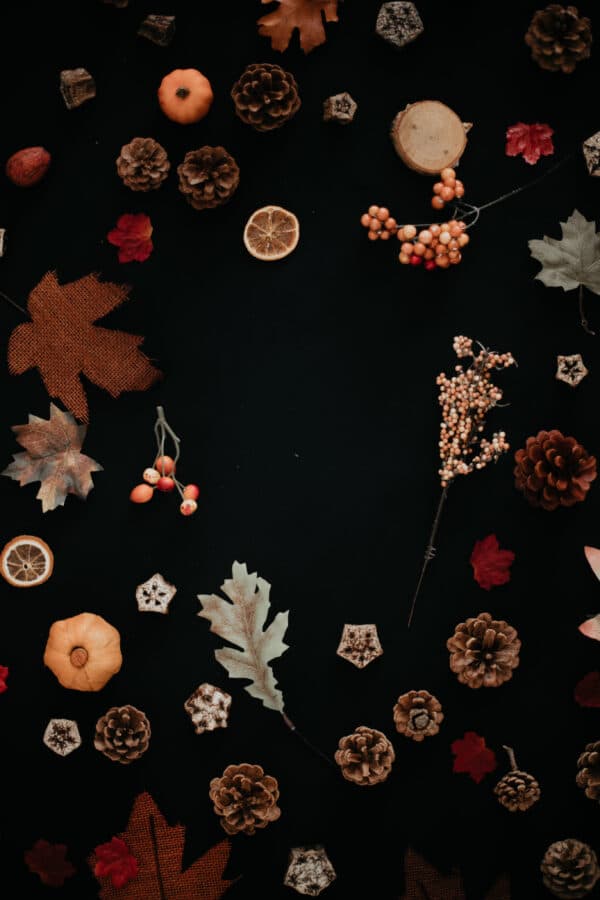 Fall/Autumn Layflat Studio Shoot 47