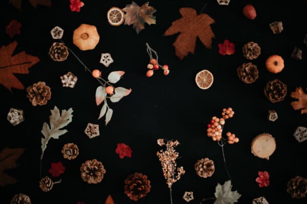Fall/Autumn Layflat Studio Shoot 48