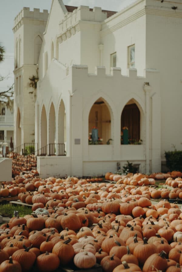 Pumpkin Patch Photoshoot 2