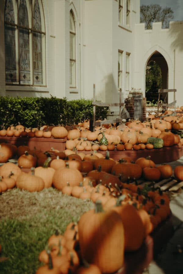 Pumpkin Patch Photoshoot 8