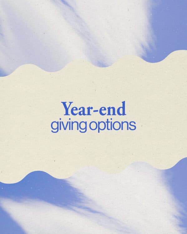 Year-end giving options.