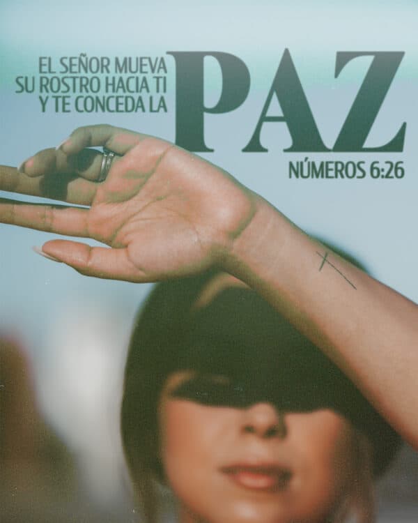 El Señor mueva su rostro hacia ti y te conceda la paz - Números 6:26