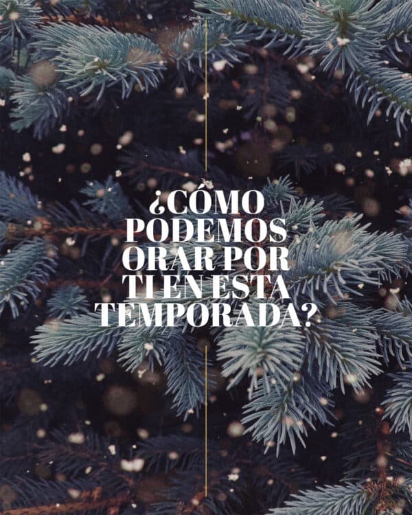 ¿Cómo podemos orar por ti en esta temporada?