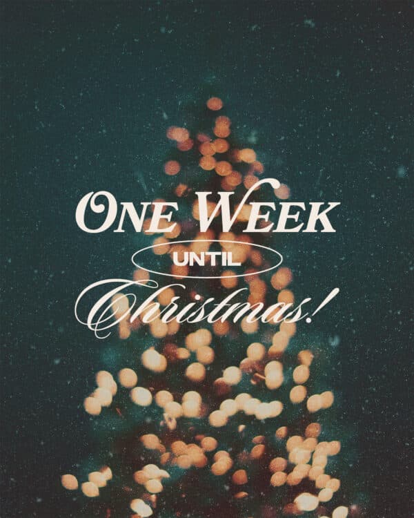 One week until Christmas!
