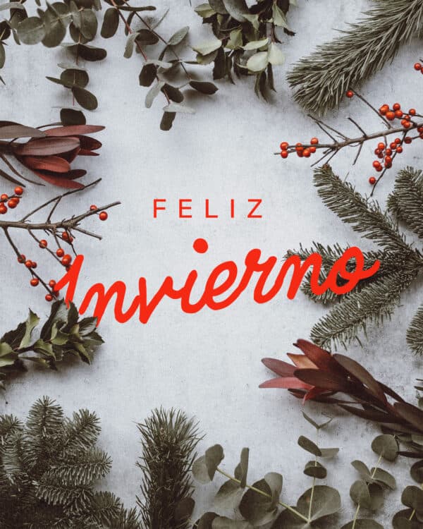 Feliz Invierno