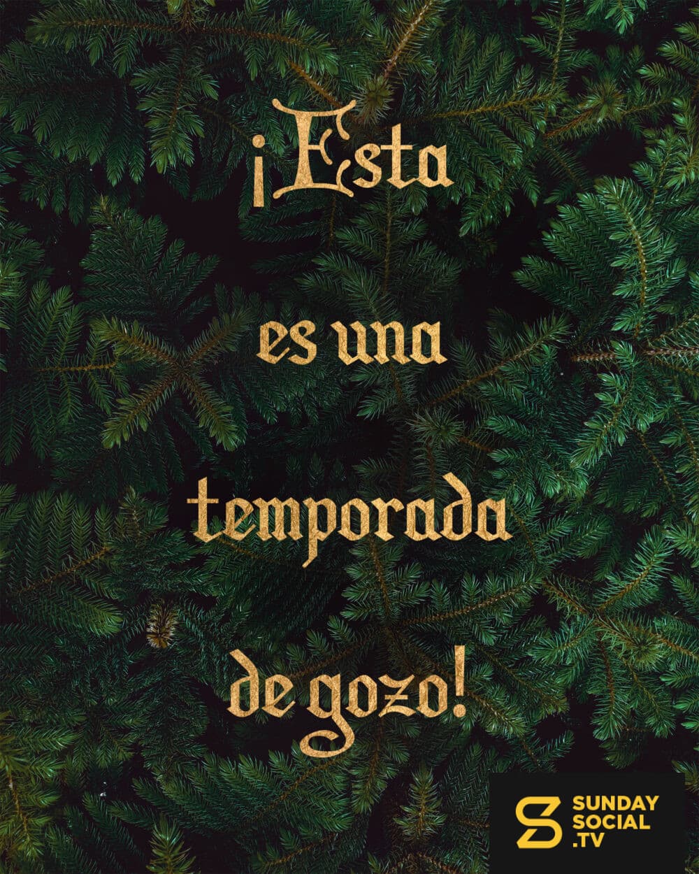 ¡Esta es una temporada de gozo!