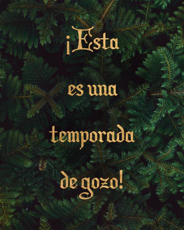 ¡Esta es una temporada de gozo!