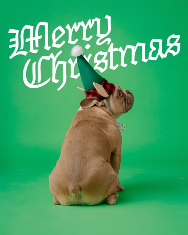 Merry Christmas!