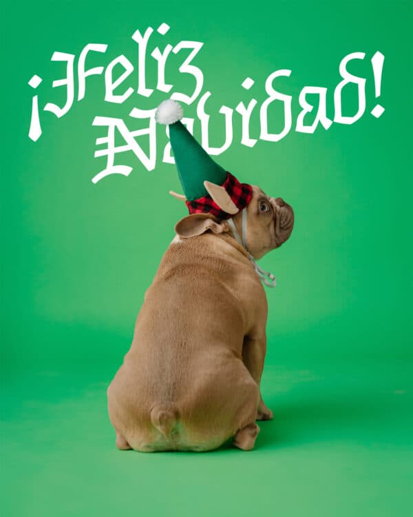 ¡Feliz Navidad!