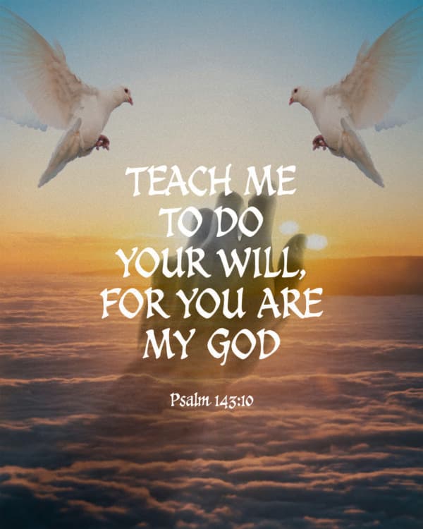 Teach me to do your will, for you are my God - Psalm 143:10