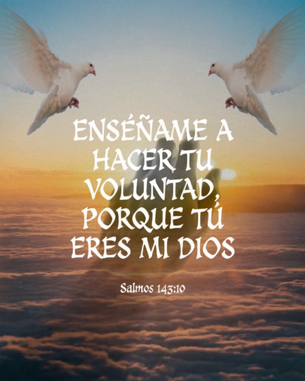 Enséñame a hacer tu voluntad, porque tú eres mi Dios - Salmos 143:10