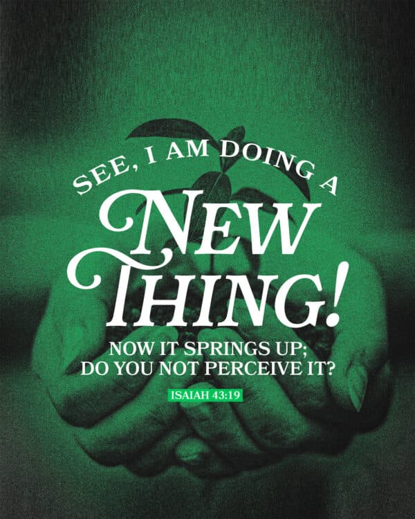 See, I am doing a new thing! Now it springs up; do you not perceive it? - Isaiah 43:19