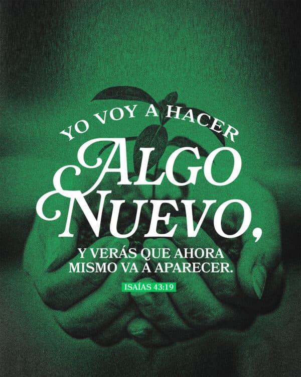Yo voy a hacer algo nuevo, y verás que ahora mismo va a aparecer. - Isaías 43:19