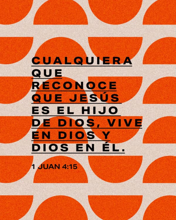 Cualquiera que reconoce que Jesús es el Hijo de Dios, vive en Dios y Dios en él. - 1 Juan 4:15