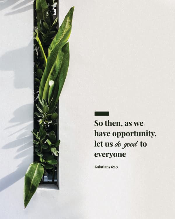 So then, as we have opportunity, let us do good to everyone - Galatians 6:10