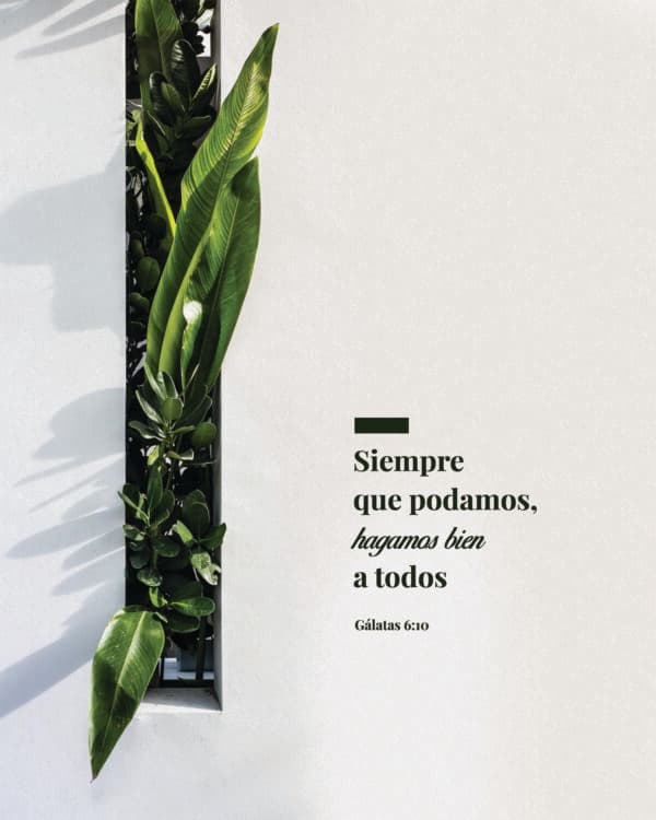 Siempre que podamos, hagamos bien a todos - Gálatas 6:10