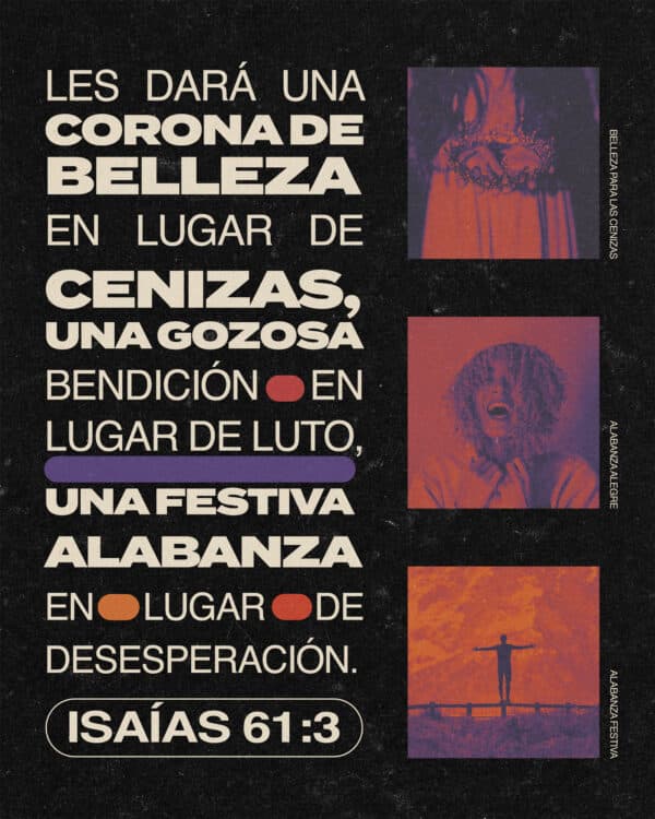 "Les dará una corona de belleza en lugar de cenizas, una gozosa bendición en lugar de luto, una festiva alabanza en lugar de desesperación." - Isaías 61:3