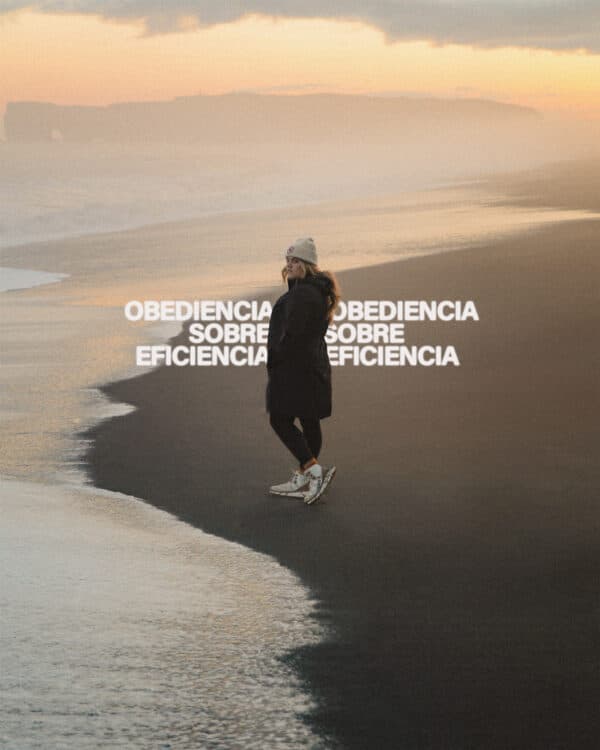 Obediencia sobre eficiencia