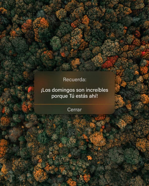 Recuerda: ¡Los domingos son increíbles porque Tú estás ahí!