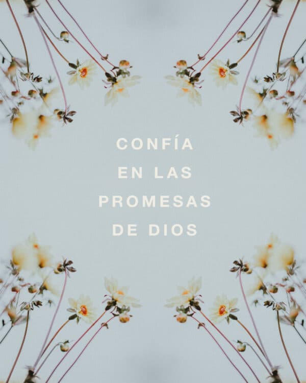 Confía en las promesas de Dios
