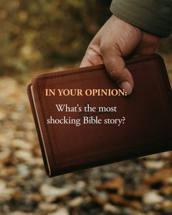 In your opinion, what's the most shocking Bible story?