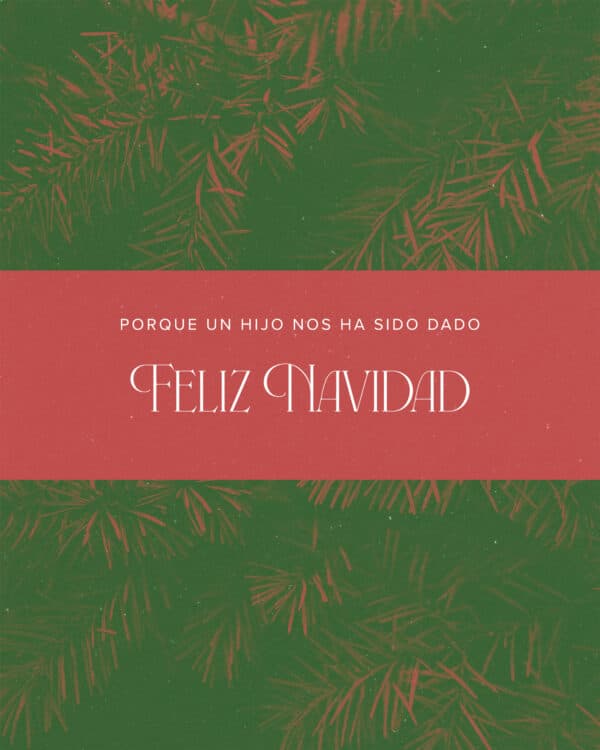 Porque un hijo nos ha sido dado. Feliz Navidad.