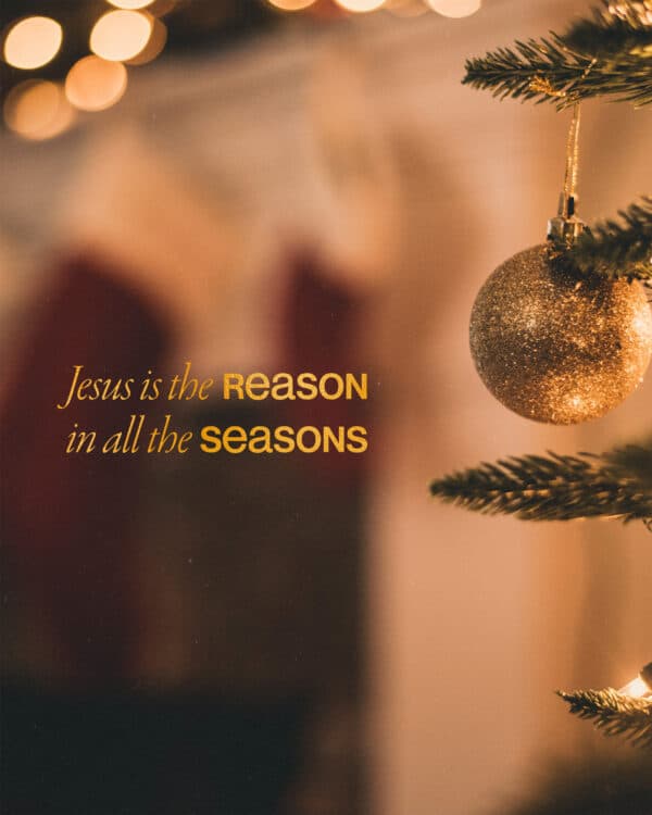 Jesus is the reason in all seasons