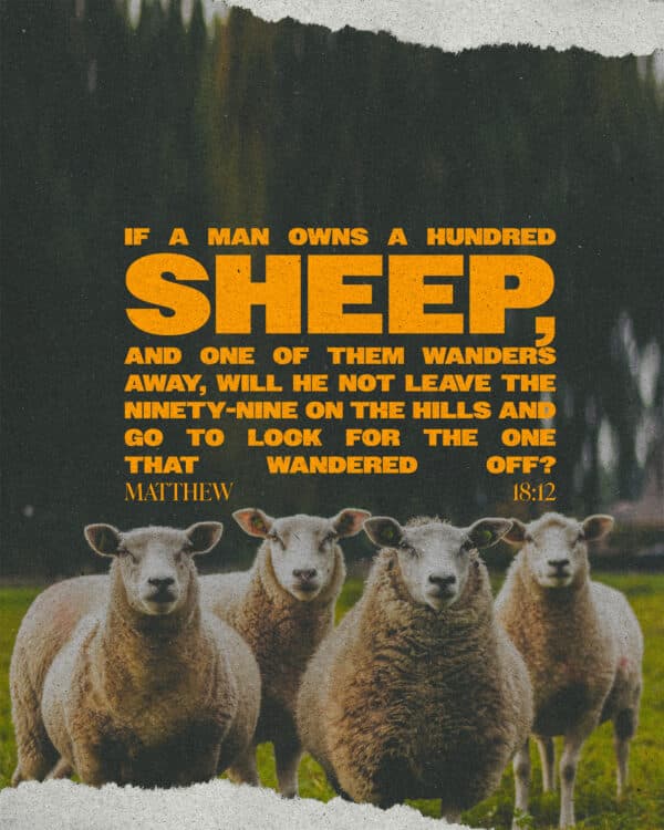 If a man owns a hundred sheep, and one of them wanders away, will he not leave the ninety-nine on the hills and go to look for the one that wandered off? - Matthew 18:12