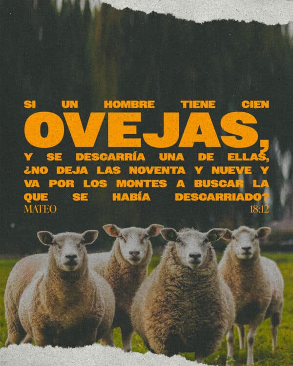 Si un hombre tiene cien ovejas, y se descarría una de ellas, ¿no deja las noventa y nueve y va por los montes a buscar la que se había descarriado? - Mateo 18:12