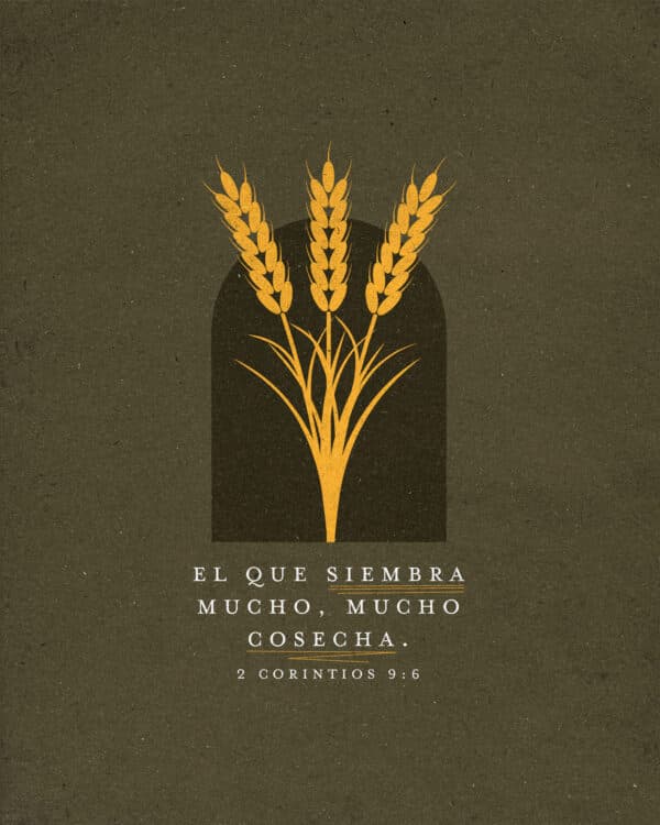 el que siembra mucho, mucho cosecha. - 2 Corintios 9:6