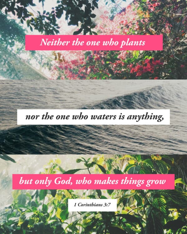 neither the one who plants nor the one who waters is anything, but only God, who makes things grow. - 1 Corinthians 3:7