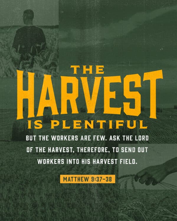 The harvest is plentiful but the workers are few. Ask the Lord of the harvest, therefore, to send out workers into his harvest field. - Matthew 9:37-38