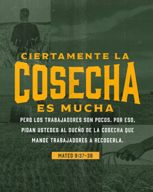 Ciertamente la cosecha es mucha, pero los trabajadores son pocos. Por eso, pidan ustedes al Dueño de la cosecha que mande trabajadores a recogerla. - Mateo 9:37-38