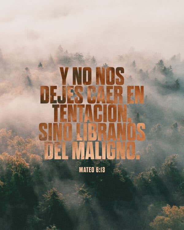 Y no nos dejes caer en tentación, sino líbranos del maligno. - Mateo 6:13