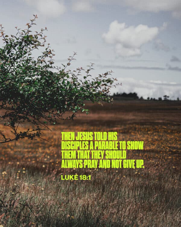 Then Jesus told his disciples a parable to show them that they should always pray and not give up. - Luke 18:1