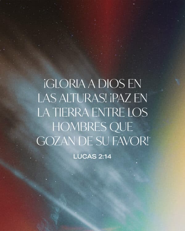 ¡Gloria a Dios en las alturas! ¡Paz en la tierra entre los hombres que gozan de su favor! - Lucas 2:14