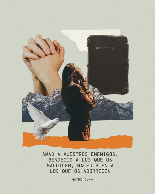 Amad a vuestros enemigos, bendecid a los que os maldicen, haced bien a los que os aborrecen - Mateo 5:44